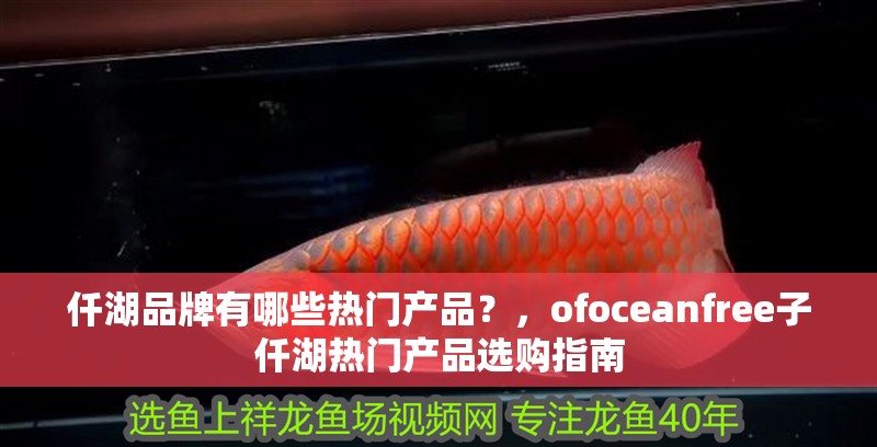 仟湖品牌有哪些熱門產品？，ofoceanfree子仟湖熱門產品選購指南