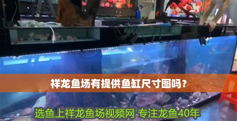 祥龍魚場有提供魚缸尺寸圖嗎？ 祥龍魚場有提供魚缸尺寸圖嗎？ 龍魚百科