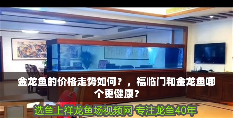 金龍魚的價格走勢如何？，福臨門和金龍魚哪個更健康？