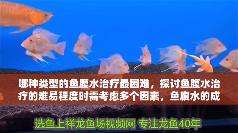 哪種類型的魚腹水治療最困難，探討魚腹水治療的難易程度時需考慮多個因素，魚腹水的成因復雜
