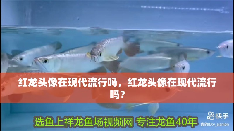紅龍頭像在現代流行嗎，紅龍頭像在現代流行嗎？