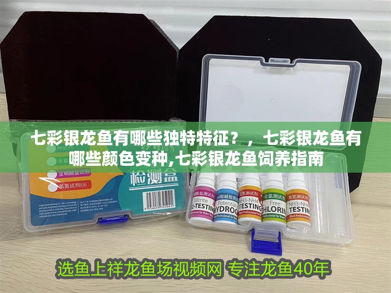 七彩銀龍魚有哪些獨特特征？，七彩銀龍魚有哪些顏色變種,七彩銀龍魚飼養指南