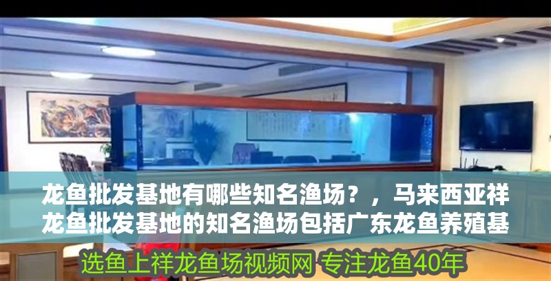 龍魚批發基地有哪些知名漁場？，馬來西亞祥龍魚批發基地的知名漁場包括廣東龍魚養殖基地 龍魚批發基地有哪些知名漁場？，馬來西亞祥龍魚批發基地的知名漁場包括廣東龍魚養殖基地 龍魚百科