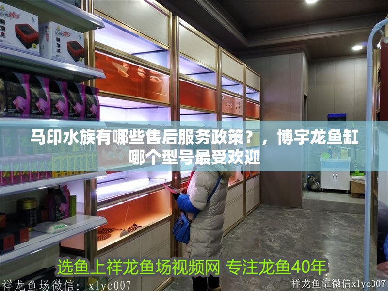 馬印水族有哪些售后服務政策？，博宇龍魚缸哪個型號最受歡迎 馬印水族有哪些售后服務政策？，博宇龍魚缸哪個型號最受歡迎 龍魚百科