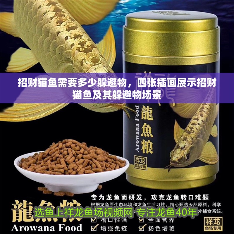 招財貓魚需要多少躲避物，四張插畫展示招財貓魚及其躲避物場景 招財貓魚需要多少躲避物，四張插畫展示招財貓魚及其躲避物場景 龍魚百科