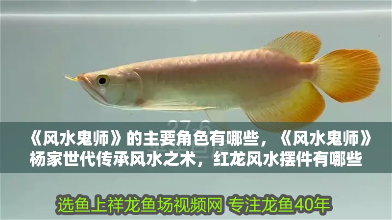 《風水鬼師》的主要角色有哪些，《風水鬼師》楊家世代傳承風水之術，紅龍風水擺件有哪些禁忌 《風水鬼師》的主要角色有哪些，《風水鬼師》楊家世代傳承風水之術，紅龍風水擺件有哪些禁忌 龍魚百科