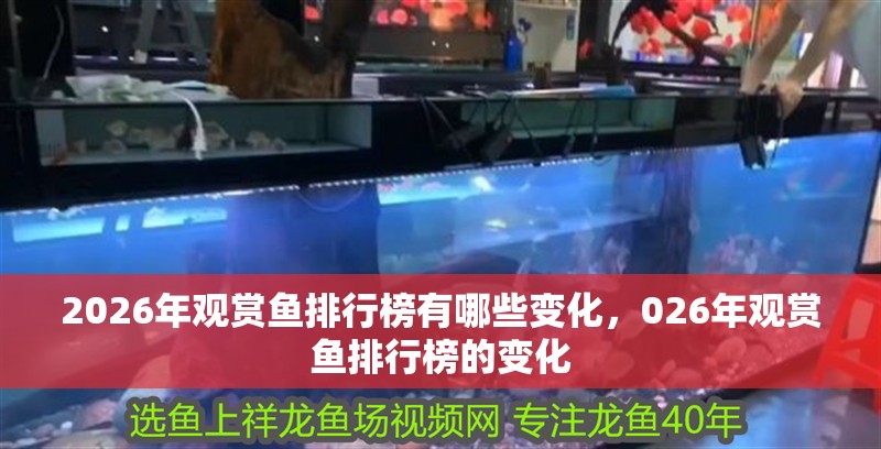 2026年觀賞魚排行榜有哪些變化，026年觀賞魚排行榜的變化
