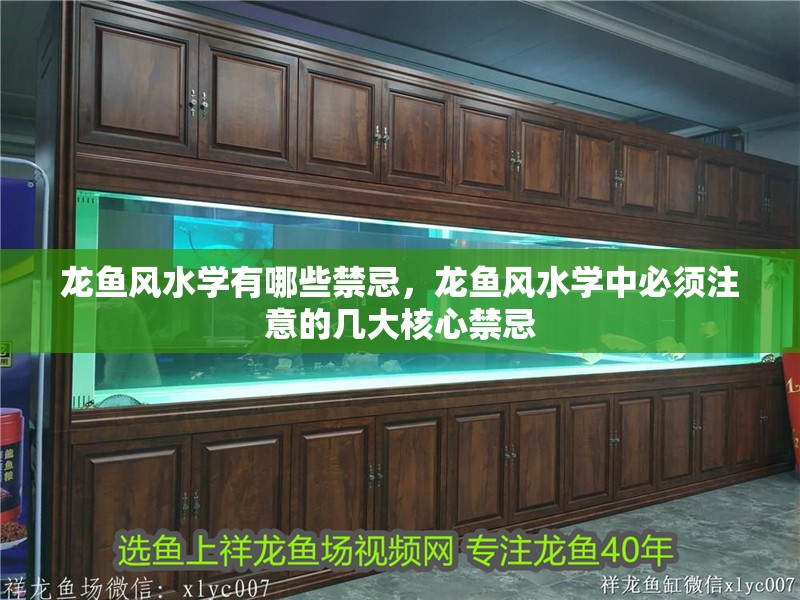 龍魚風水學有哪些禁忌，龍魚風水學中必須注意的幾大核心禁忌 龍魚風水學有哪些禁忌，龍魚風水學中必須注意的幾大核心禁忌 龍魚百科