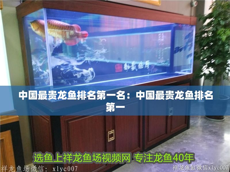 中國最貴龍魚排名第一名：中國最貴龍魚排名第一