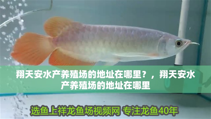 翔天安水產(chǎn)養(yǎng)殖場的地址在哪里？，翔天安水產(chǎn)養(yǎng)殖場的地址在哪里