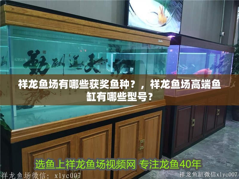 祥龍魚場有哪些獲獎魚種？，祥龍魚場高端魚缸有哪些型號？ 祥龍魚場有哪些獲獎魚種？，祥龍魚場高端魚缸有哪些型號？ 龍魚百科