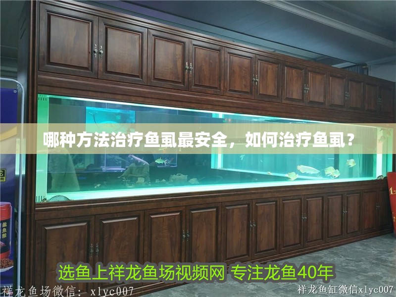 鸚鵡魚和銀龍魚混養怎樣喂食 哪種方法治療魚虱最安全,如何治療魚虱? 龍魚百科 哪種方法治療魚虱最安全,如何治療魚虱? 哪種方法治療魚虱最安全,如何治療魚虱? 龍魚百科