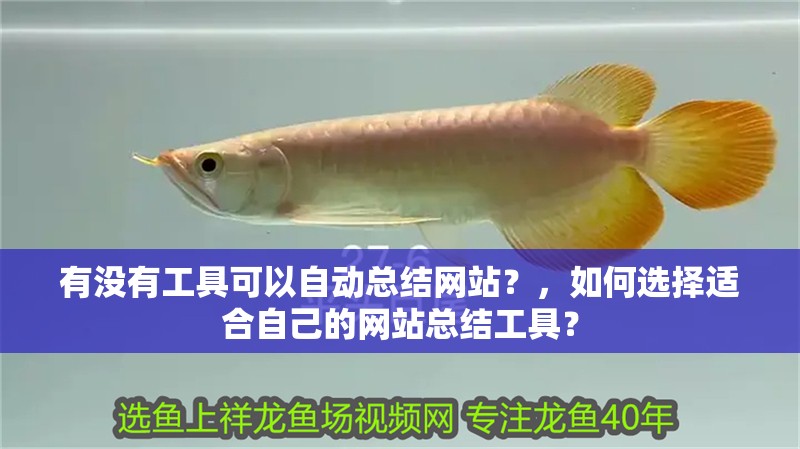 有沒有工具可以自動總結網站？，如何選擇適合自己的網站總結工具？