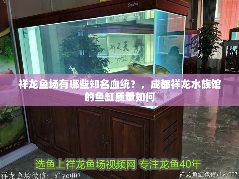 祥龍魚場有哪些知名血統？，成都祥龍水族館的魚缸質量如何 祥龍魚場有哪些知名血統？，成都祥龍水族館的魚缸質量如何 龍魚百科