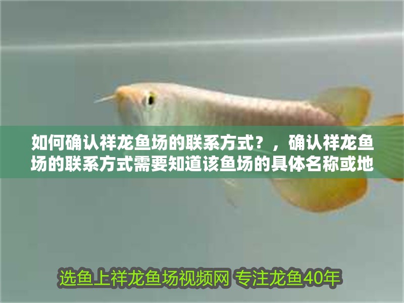 如何確認祥龍魚場的聯(lián)系方式？，確認祥龍魚場的聯(lián)系方式需要知道該魚場的具體名稱或地址