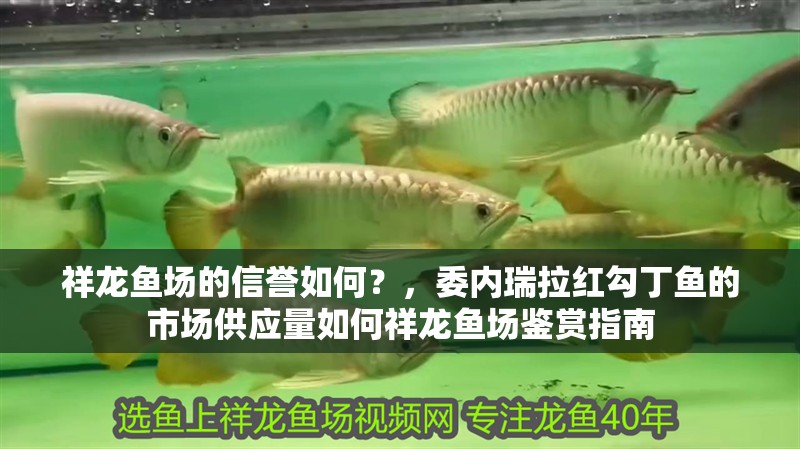 魚(yú)缸用增氧泵價(jià)格是多少:魚(yú)缸增氧機(jī)-xtrac增氧機(jī)-xtrac增氧機(jī) 祥龍魚(yú)場(chǎng)的信譽(yù)如何?,委內(nèi)瑞拉紅勾丁魚(yú)的市場(chǎng)供應(yīng)量如何祥龍魚(yú)場(chǎng)鑒賞指南 龍魚(yú)百科 祥龍魚(yú)場(chǎng)的信譽(yù)如何?,委內(nèi)瑞拉紅勾丁魚(yú)的市場(chǎng)供應(yīng)量如何祥龍魚(yú)場(chǎng)鑒賞指南 祥龍魚(yú)場(chǎng)的信譽(yù)如何?,委內(nèi)瑞拉紅勾丁魚(yú)的市場(chǎng)供應(yīng)量如何祥龍魚(yú)場(chǎng)鑒賞指南 龍魚(yú)百科