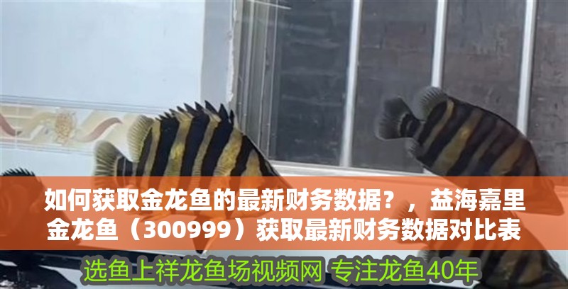 如何獲取金龍魚的最新財務(wù)數(shù)據(jù)？，益海嘉里金龍魚（300999）獲取最新財務(wù)數(shù)據(jù)對比表 如何獲取金龍魚的最新財務(wù)數(shù)據(jù)？，益海嘉里金龍魚（300999）獲取最新財務(wù)數(shù)據(jù)對比表 龍魚百科