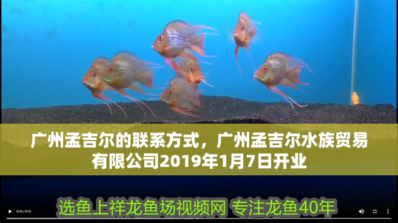 廣州孟吉爾的聯(lián)系方式，廣州孟吉爾水族貿易有限公司2019年1月7日開業(yè)