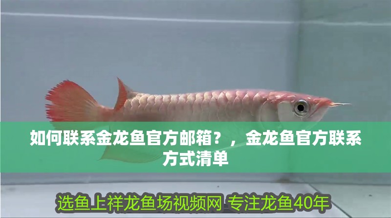 如何聯(lián)系金龍魚官方郵箱？，金龍魚官方聯(lián)系方式清單