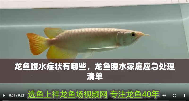 龍魚腹水癥狀有哪些，龍魚腹水家庭應急處理清單