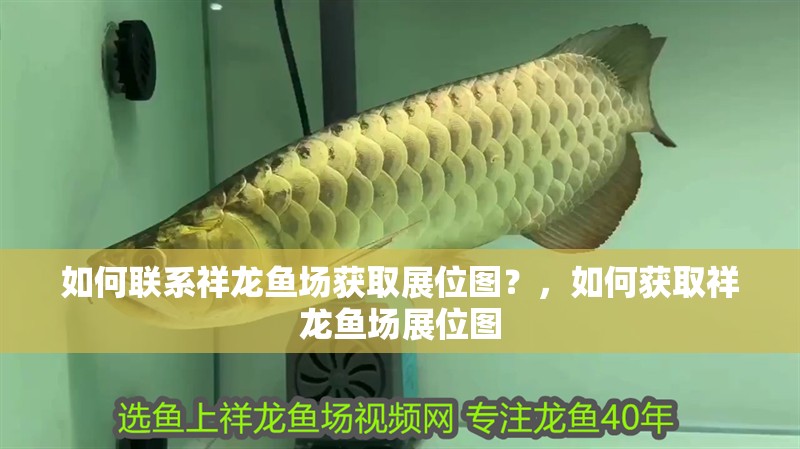如何聯系祥龍魚場獲取展位圖？，如何獲取祥龍魚場展位圖