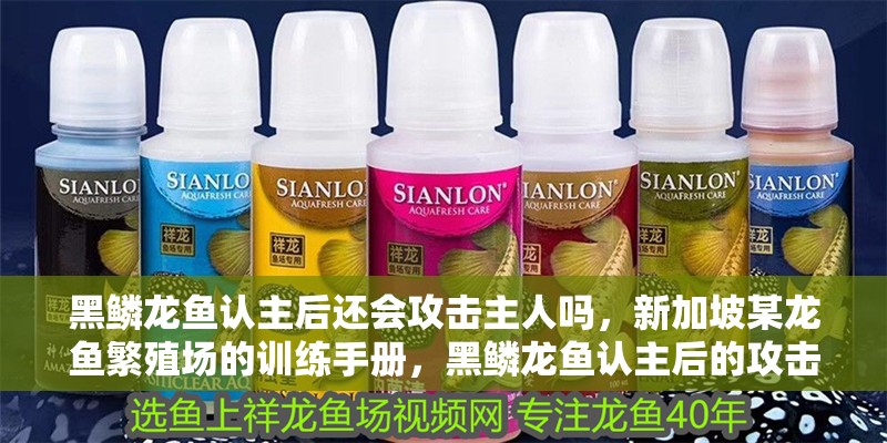 我的虎魚真菌感染了要怎么處理 黑鱗龍魚認(rèn)主后還會攻擊主人嗎,新加坡某龍魚繁殖場的訓(xùn)練手冊,黑鱗龍魚認(rèn)主后的攻擊行為 龍魚百科 黑鱗龍魚認(rèn)主后還會攻擊主人嗎,新加坡某龍魚繁殖場的訓(xùn)練手冊,黑鱗龍魚認(rèn)主后的攻擊行為 黑鱗龍魚認(rèn)主后還會攻擊主人嗎,新加坡某龍魚繁殖場的訓(xùn)練手冊,黑鱗龍魚認(rèn)主后的攻擊行為 龍魚百科