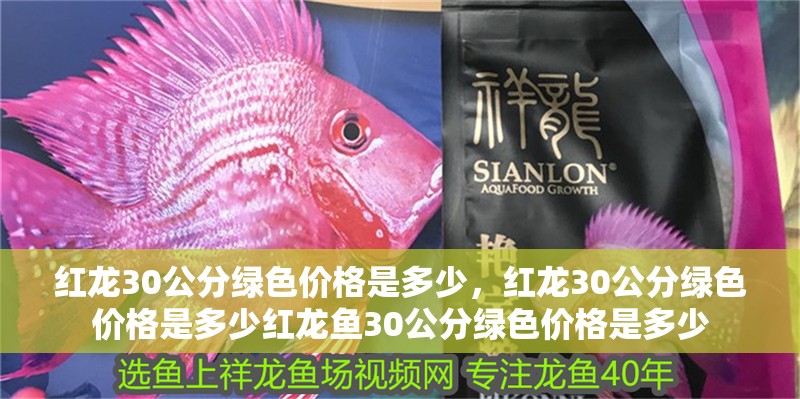 紅龍30公分綠色價格是多少，紅龍30公分綠色價格是多少紅龍魚30公分綠色價格是多少 紅龍30公分綠色價格是多少，紅龍30公分綠色價格是多少紅龍魚30公分綠色價格是多少 龍魚百科
