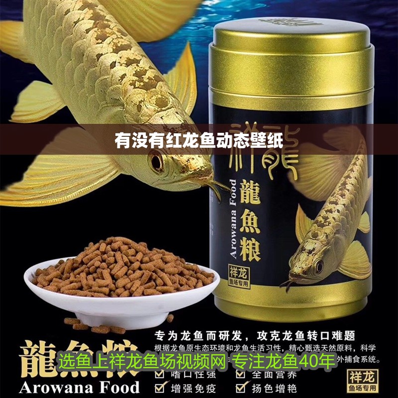 鸚鵡魚(yú)和銀龍魚(yú)混養(yǎng)怎樣喂食 有沒(méi)有紅龍魚(yú)動(dòng)態(tài)壁紙 龍魚(yú)百科 有沒(méi)有紅龍魚(yú)動(dòng)態(tài)壁紙 有沒(méi)有紅龍魚(yú)動(dòng)態(tài)壁紙 龍魚(yú)百科