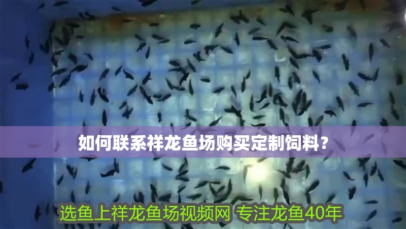 如何聯系祥龍魚場購買定制飼料？ 如何聯系祥龍魚場購買定制飼料？ 龍魚百科