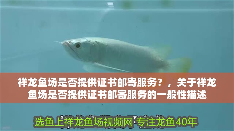 祥龍魚場是否提供證書郵寄服務？，關于祥龍魚場是否提供證書郵寄服務的一般性描述