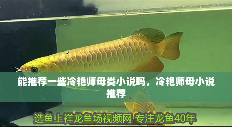 能推薦一些冷艷師母類小說嗎，冷艷師母小說推薦 能推薦一些冷艷師母類小說嗎，冷艷師母小說推薦 龍魚百科