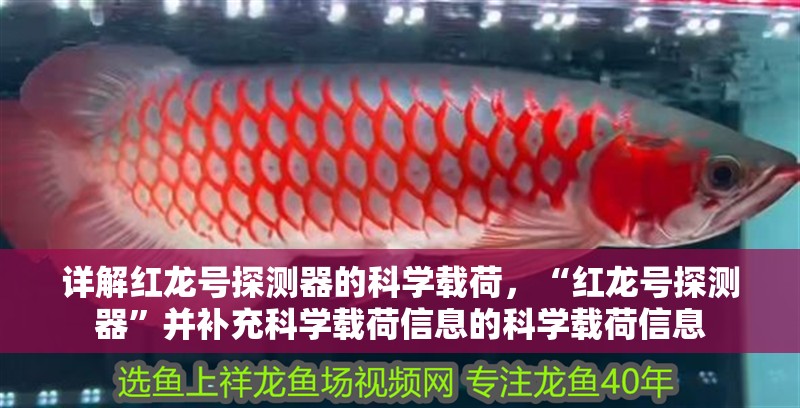 鸚鵡魚和銀龍魚混養(yǎng)怎樣喂食 詳解紅龍?zhí)柼綔y(cè)器的科學(xué)載荷,“紅龍?zhí)柼綔y(cè)器”并補(bǔ)充科學(xué)載荷信息的科學(xué)載荷信息 龍魚百科 詳解紅龍?zhí)柼綔y(cè)器的科學(xué)載荷,“紅龍?zhí)柼綔y(cè)器”并補(bǔ)充科學(xué)載荷信息的科學(xué)載荷信息 詳解紅龍?zhí)柼綔y(cè)器的科學(xué)載荷,“紅龍?zhí)柼綔y(cè)器”并補(bǔ)充科學(xué)載荷信息的科學(xué)載荷信息 龍魚百科