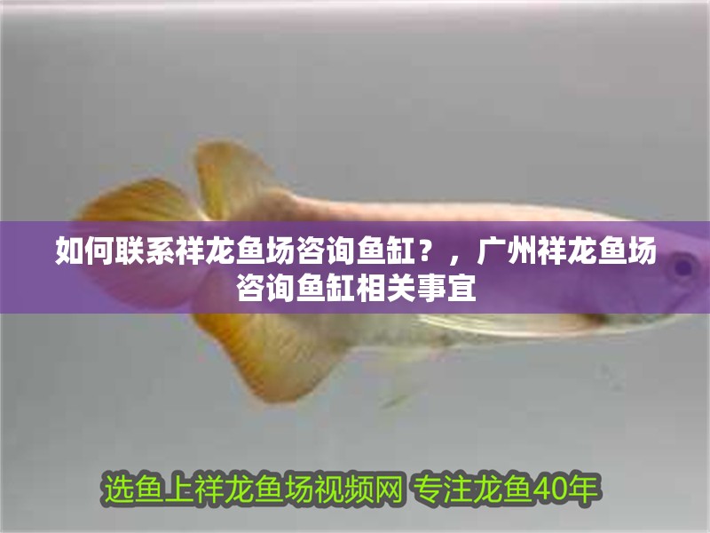 魚缸用增氧泵價格是多少:魚缸增氧機-xtrac增氧機-xtrac增氧機 如何聯(lián)系祥龍魚場咨詢魚缸?,廣州祥龍魚場咨詢魚缸相關(guān)事宜 龍魚百科 如何聯(lián)系祥龍魚場咨詢魚缸?,廣州祥龍魚場咨詢魚缸相關(guān)事宜 如何聯(lián)系祥龍魚場咨詢魚缸?,廣州祥龍魚場咨詢魚缸相關(guān)事宜 龍魚百科