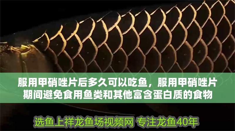 服用甲硝唑片后多久可以吃魚，服用甲硝唑片期間避免食用魚類和其他富含蛋白質的食物 服用甲硝唑片后多久可以吃魚，服用甲硝唑片期間避免食用魚類和其他富含蛋白質的食物 龍魚百科