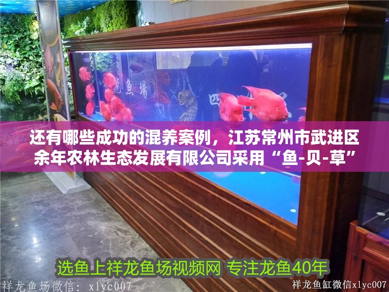 還有哪些成功的混養案例，江蘇常州市武進區余年農林生態發展有限公司采用“魚-貝-草” 還有哪些成功的混養案例，江蘇常州市武進區余年農林生態發展有限公司采用“魚-貝-草” 龍魚百科