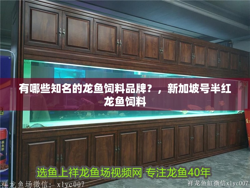 有哪些知名的龍魚飼料品牌？，新加坡號半紅龍魚飼料 有哪些知名的龍魚飼料品牌？，新加坡號半紅龍魚飼料 龍魚百科