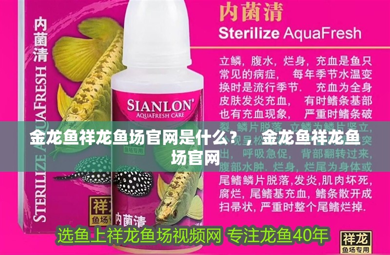 金龍魚(yú)祥龍魚(yú)場(chǎng)官網(wǎng)是什么？，金龍魚(yú)祥龍魚(yú)場(chǎng)官網(wǎng)