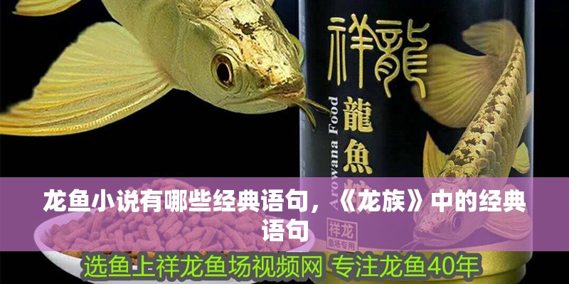 龍魚小說有哪些經(jīng)典語句，《龍族》中的經(jīng)典語句 龍魚小說有哪些經(jīng)典語句，《龍族》中的經(jīng)典語句 龍魚百科