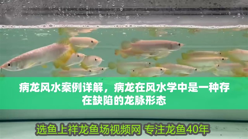 病龍風水案例詳解，病龍在風水學中是一種存在缺陷的龍脈形態 病龍風水案例詳解，病龍在風水學中是一種存在缺陷的龍脈形態 龍魚百科