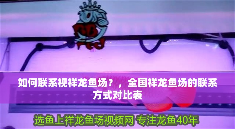 魚缸過濾器選購指南:自制魚缸過濾器魚缸上置過濾器對于養(yǎng)魚愛好者的必備知識 如何聯(lián)系視祥龍魚場?,全國祥龍魚場的聯(lián)系方式對比表 龍魚百科 如何聯(lián)系視祥龍魚場?,全國祥龍魚場的聯(lián)系方式對比表 如何聯(lián)系視祥龍魚場?,全國祥龍魚場的聯(lián)系方式對比表 龍魚百科