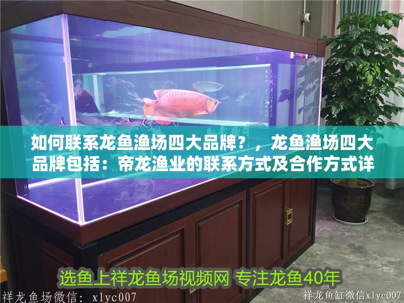 如何聯(lián)系龍魚漁場四大品牌？，龍魚漁場四大品牌包括：帝龍漁業(yè)的聯(lián)系方式及<strong><mark>合作</mark></strong>方式詳解
