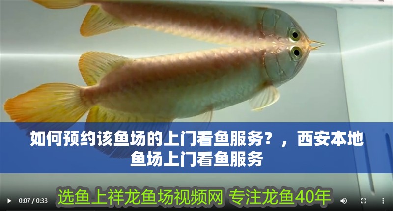 如何預約該魚場的上門看魚服務？，西安本地魚場上門看魚服務 如何預約該魚場的上門看魚服務？，西安本地魚場上門看魚服務 龍魚百科