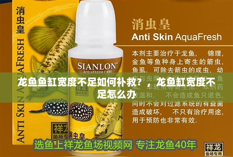 龍魚魚缸寬度不足如何補救？，龍魚缸寬度不足怎么辦