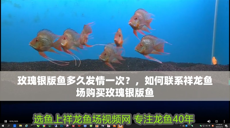 魚(yú)缸用增氧泵價(jià)格是多少:魚(yú)缸增氧機(jī)-xtrac增氧機(jī)-xtrac增氧機(jī) 玫瑰銀版魚(yú)多久發(fā)情一次?,如何聯(lián)系祥龍魚(yú)場(chǎng)購(gòu)買(mǎi)玫瑰銀版魚(yú) 龍魚(yú)百科 玫瑰銀版魚(yú)多久發(fā)情一次?,如何聯(lián)系祥龍魚(yú)場(chǎng)購(gòu)買(mǎi)玫瑰銀版魚(yú) 玫瑰銀版魚(yú)多久發(fā)情一次?,如何聯(lián)系祥龍魚(yú)場(chǎng)購(gòu)買(mǎi)玫瑰銀版魚(yú) 龍魚(yú)百科