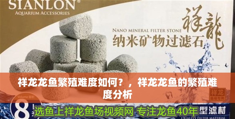 祥龍龍魚繁殖難度如何？，祥龍龍魚的繁殖難度分析 祥龍龍魚繁殖難度如何？，祥龍龍魚的繁殖難度分析 龍魚百科