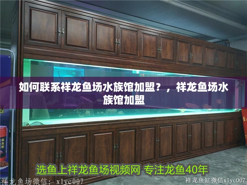 如何聯系祥龍魚場水族館加盟？，祥龍魚場水族館加盟 如何聯系祥龍魚場水族館加盟？，祥龍魚場水族館加盟 龍魚百科