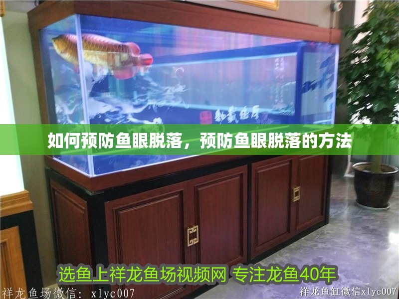 如何預防魚眼脫落，預防魚眼脫落的方法 如何預防魚眼脫落，預防魚眼脫落的方法 龍魚百科