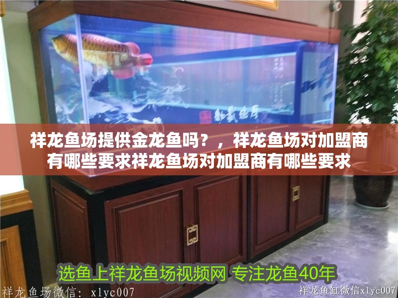 祥龍魚場提供金龍魚嗎？，祥龍魚場對加盟商有哪些要求祥龍魚場對加盟商有哪些要求
