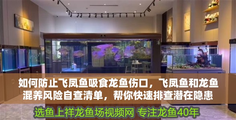 如何防止飛鳳魚吸食龍魚傷口，飛鳳魚和龍魚混養風險自查清單，幫你快速排查潛在隱患 如何防止飛鳳魚吸食龍魚傷口，飛鳳魚和龍魚混養風險自查清單，幫你快速排查潛在隱患 龍魚百科