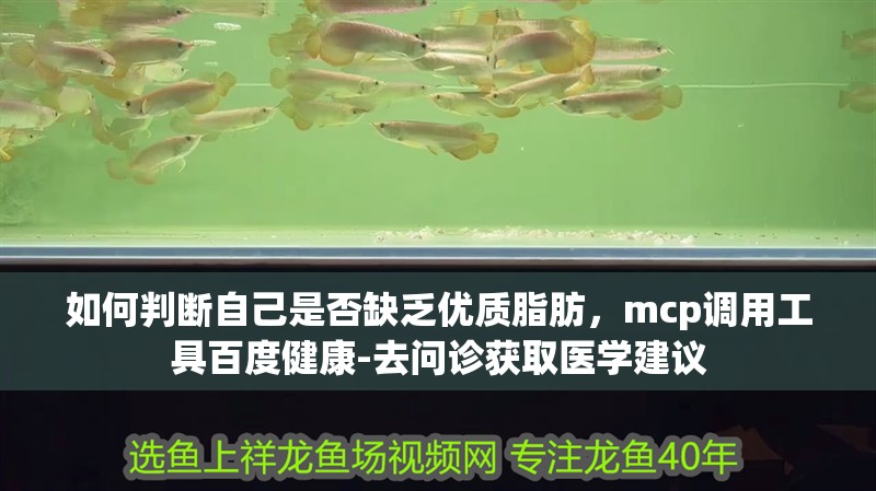 如何判斷自己是否缺乏優質脂肪，mcp調用工具百度健康-去問診獲取醫學建議